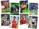 Panini Premier League Top Class 2025 Football Card Album 8051708023138 фото 5