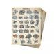 Frosthaven. Removable Sticker Set 1218838 фото 2
