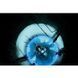 Theseus: Dark Orbit - Bots 3596059 фото 4