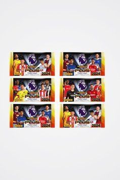 Panini Premier League 2024 PLUS 6-pack sachets 8051708009545 фото