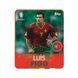 Sachets of 10 EURO 2024 stickers 5053307068377 фото 5