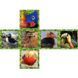 V-Cube Unique Birds 2x2x2 Contoured Cube 2569674 фото 3