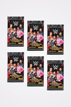 WWE 2024 Panini Card Pouches 6 pcs. 8051708014358 фото